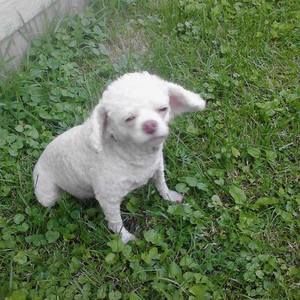 Meet your Posher, Jackie